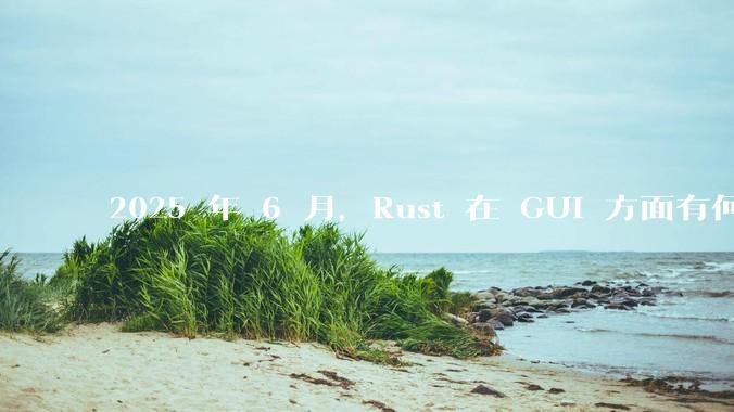 2025 年 6 月,Rust 在 GUI 方面有何大的进展? 你最看好哪个框架?