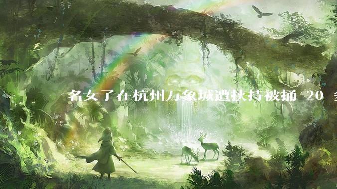 一名女子在杭州万象城遭挟持被捅 20 多刀,隆胸***体救了一命,这反映出哪些公安系统的问题?