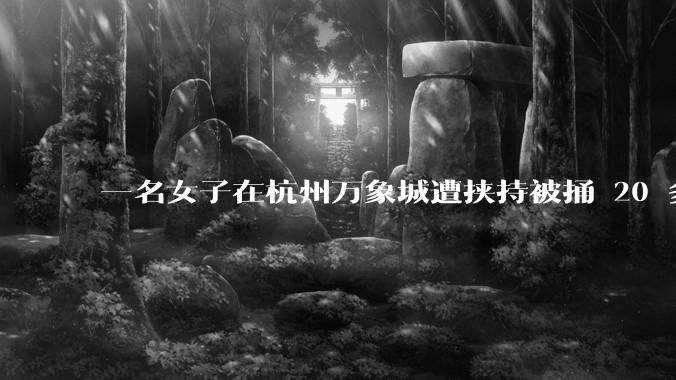 一名女子在杭州万象城遭挟持被捅 20 多刀,隆胸***体救了一命,这反映出哪些公安系统的问题?